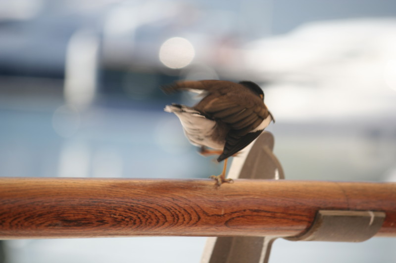 f:id:yocchi_gogo:20081224131905j:image