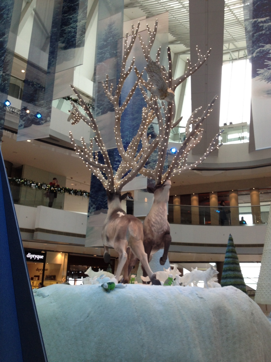 f:id:yocchi_gogo:20121130135358j:image