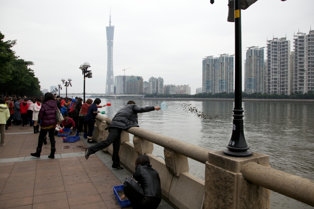 f:id:yocchi_gogo:20130210113023j:image