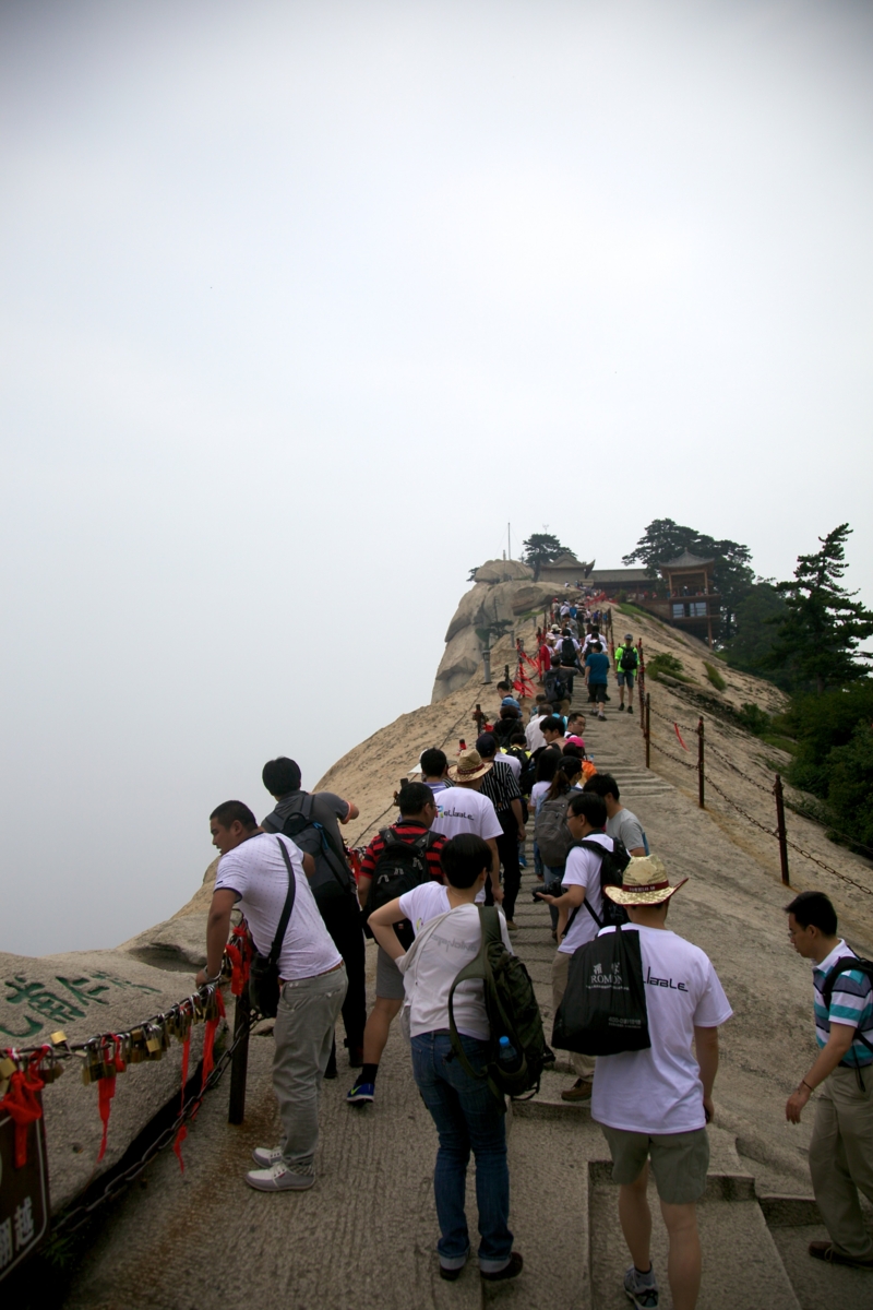 f:id:yocchi_gogo:20140628113610j:plain f:id:yocchi_gogo:20140628113610j:plain