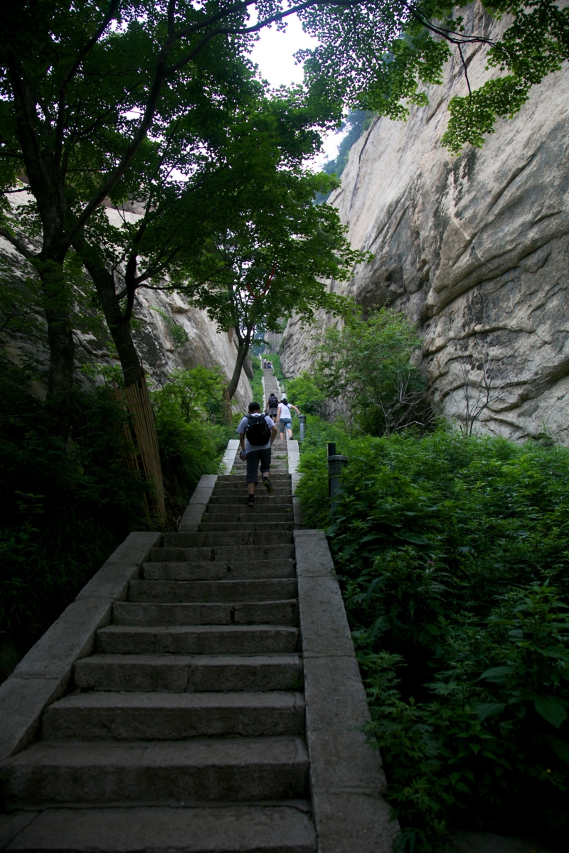 f:id:yocchi_gogo:20140628130050j:plain f:id:yocchi_gogo:20140628130050j:plain