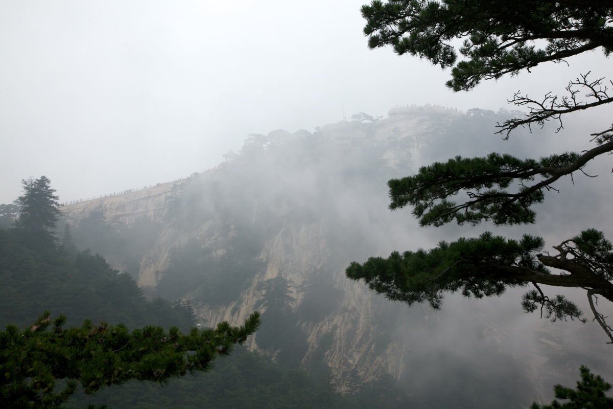 f:id:yocchi_gogo:20140628131616j:plain f:id:yocchi_gogo:20140628131616j:plain