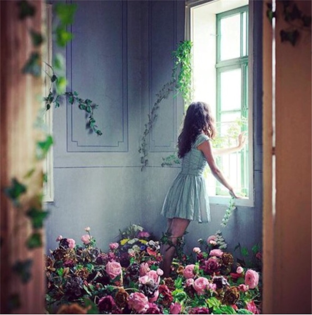 f:id:yoco_0531:20151202200634j:image f:id:yoco_0531:20151202200634j:image