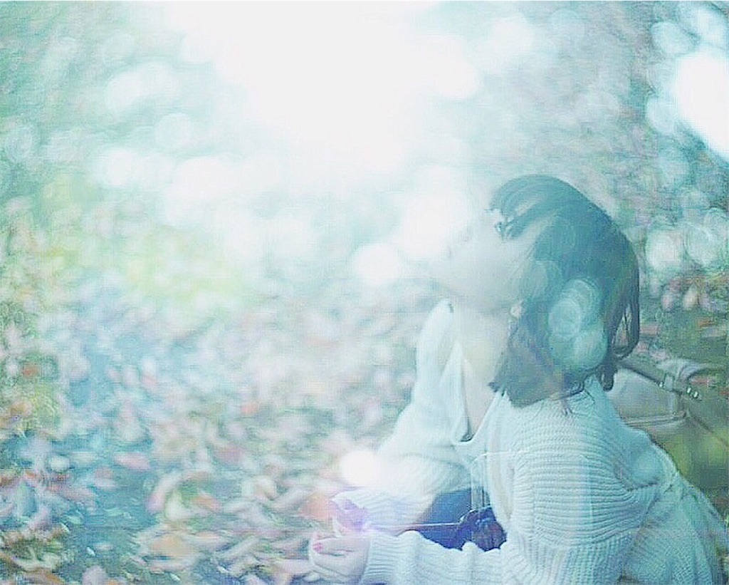 f:id:yoco_0531:20160428031018j:image f:id:yoco_0531:20160428031018j:image