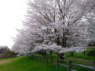 f:id:yodakazoo:20160329110016j:plain f:id:yodakazoo:20160329110016j:plain