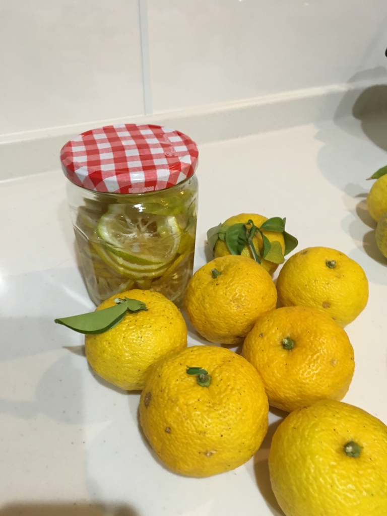 f:id:yodamyu:20151107163637j:plain