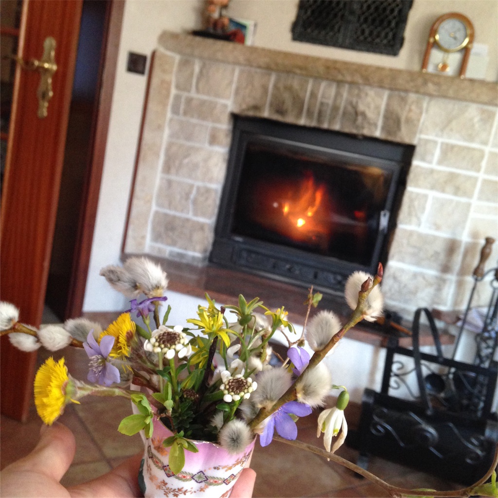 f:id:yogaflower:20160327180945j:image f:id:yogaflower:20160327180945j:image