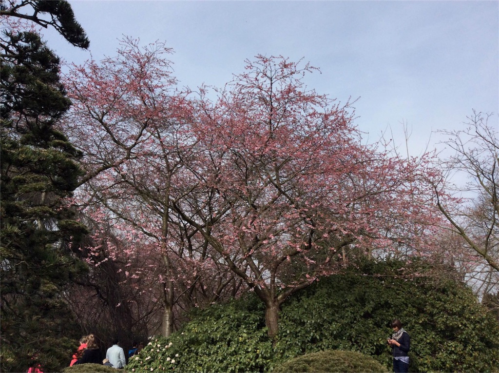 f:id:yogaflower:20160406021432j:image f:id:yogaflower:20160406021432j:image