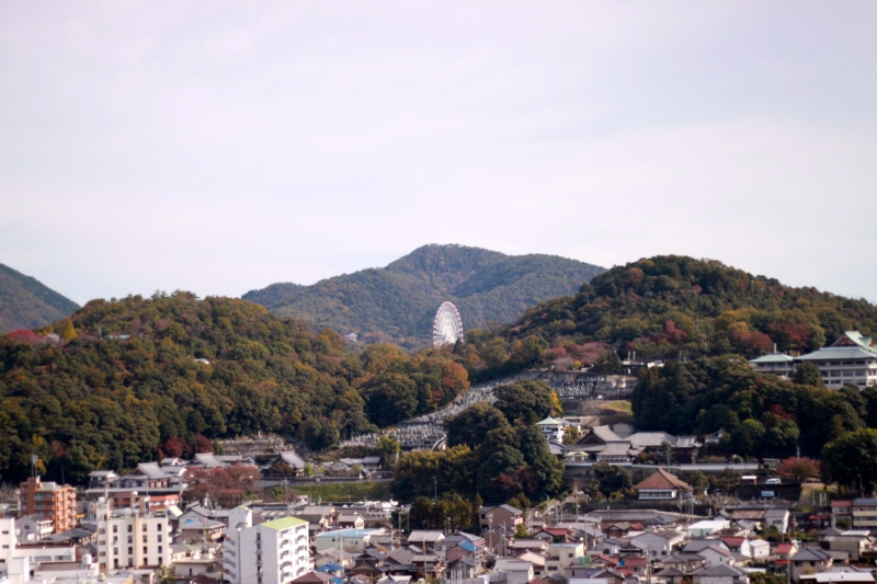 f:id:yogomasa:20141116111525j:plain f:id:yogomasa:20141116111525j:plain