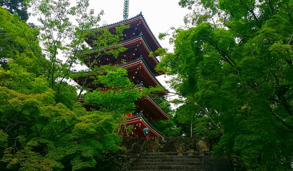 竹林寺 My 365.