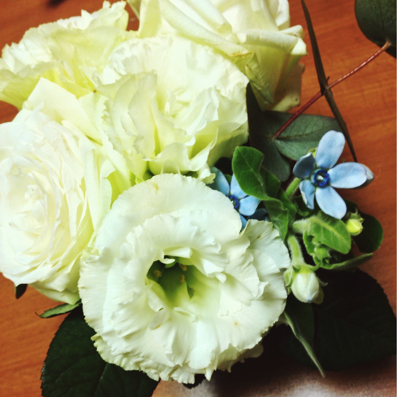 f:id:yokko3604:20140201081631j:plain f:id:yokko3604:20140201081631j:plain