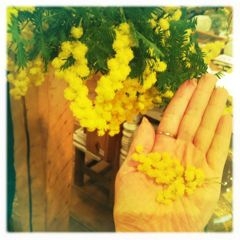 f:id:yoko807:20120326204544j:image