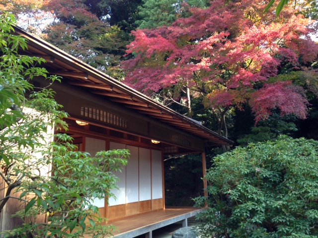 f:id:yokoimapleiades:20141124113056j:plain