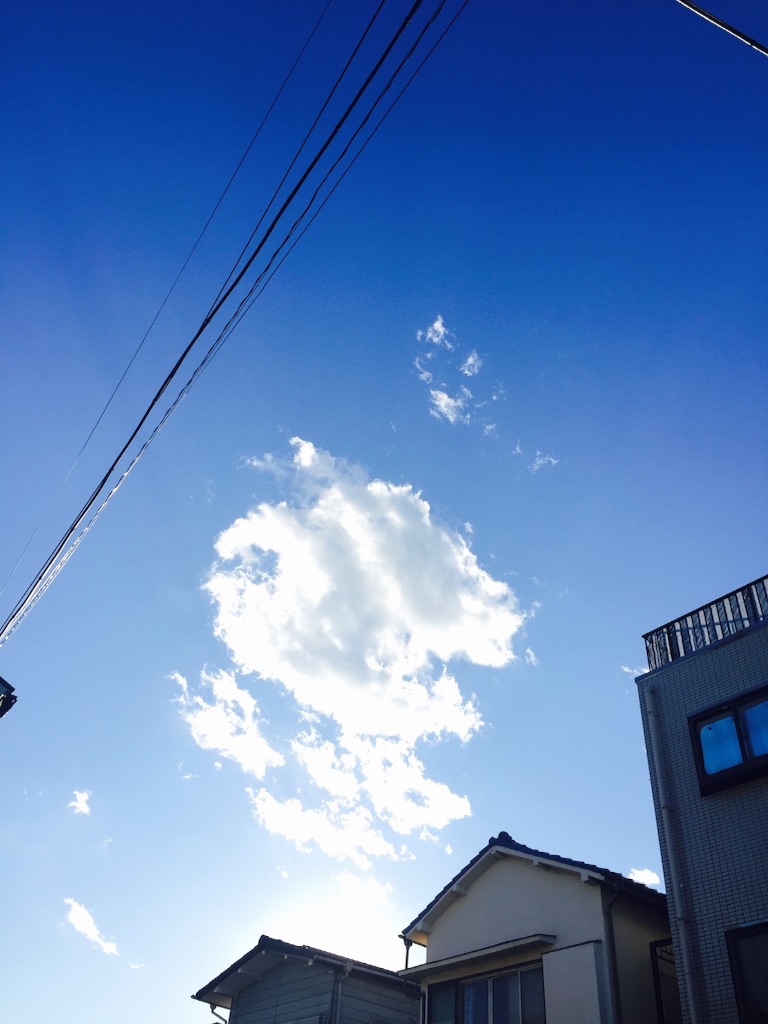f:id:yolocobi:20151128140916j:image f:id:yolocobi:20151128140916j:image