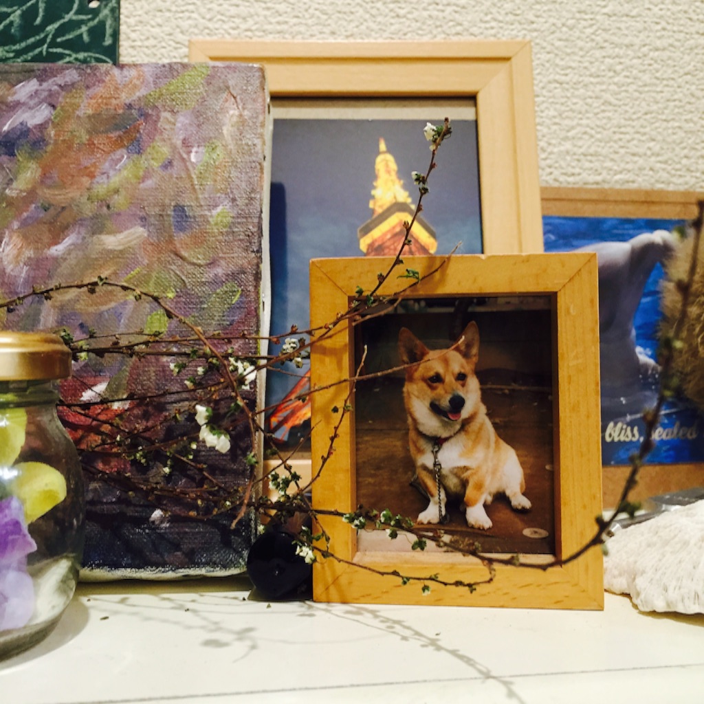 f:id:yolocobi:20160304152935j:image f:id:yolocobi:20160304152935j:image