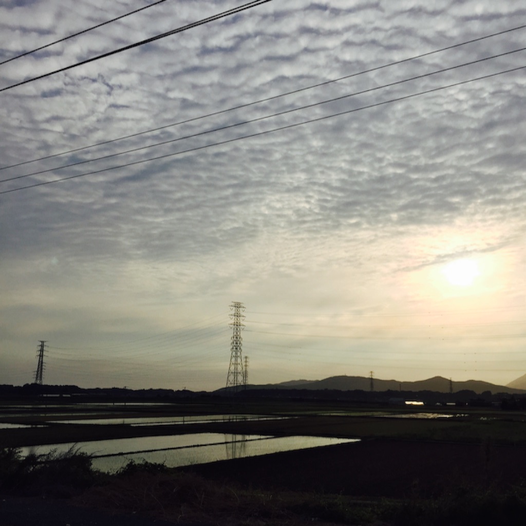 f:id:yolocobi:20160520235212j:image f:id:yolocobi:20160520235212j:image