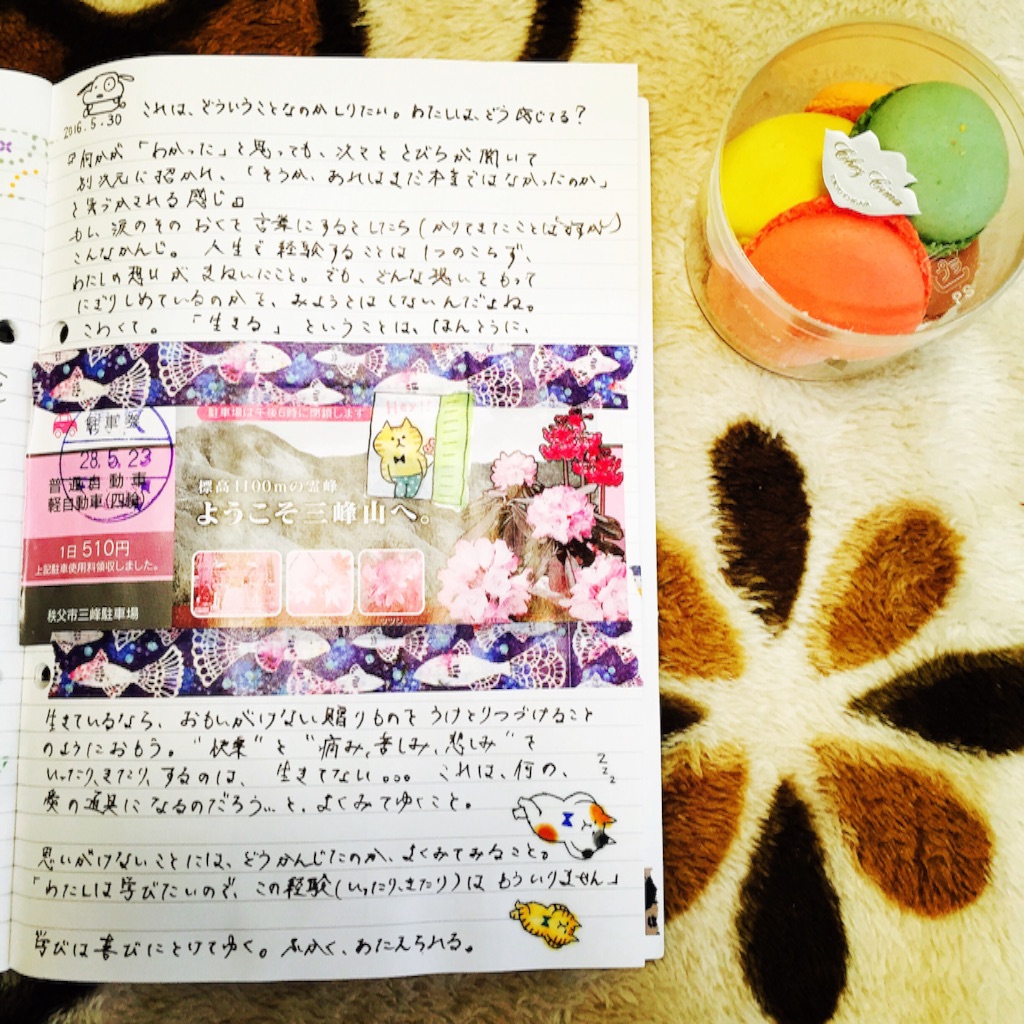 f:id:yolocobi:20160531171643j:image f:id:yolocobi:20160531171643j:image