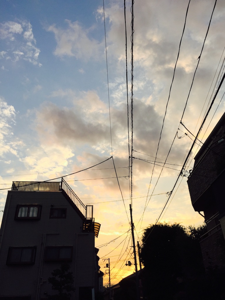 f:id:yolocobi:20160618183705j:image f:id:yolocobi:20160618183705j:image
