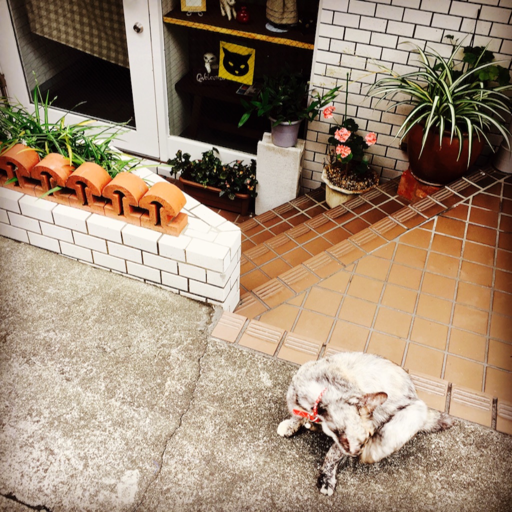 f:id:yolocobi:20160630171528j:image f:id:yolocobi:20160630171528j:image