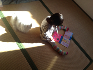 f:id:yome_koi:20131224211623j:plain f:id:yome_koi:20131224211623j:plain