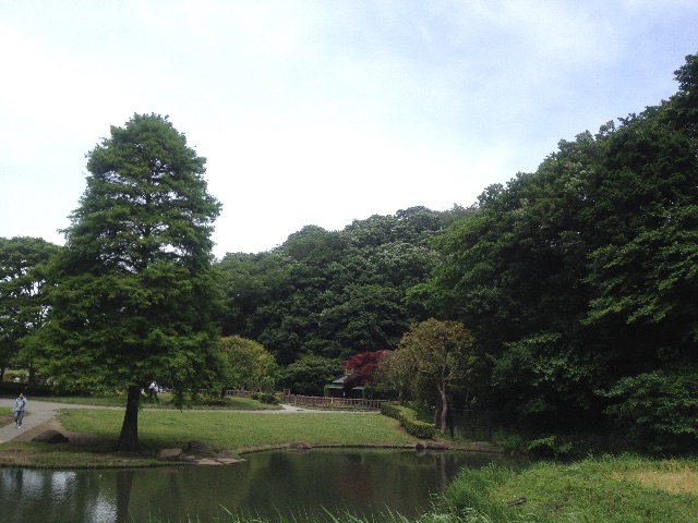 f:id:yome_koi:20150522121105j:image f:id:yome_koi:20150522121105j:image