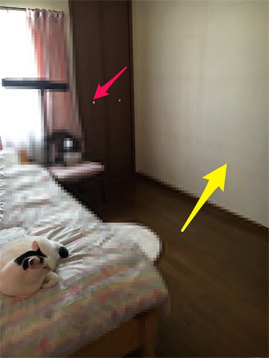 f:id:yona0717:20160515193418j:image f:id:yona0717:20160515193418j:image