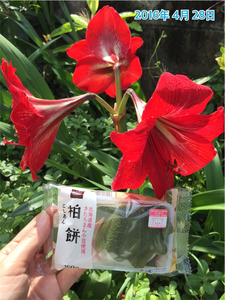 f:id:yonacan:20160428235800j:image f:id:yonacan:20160428235800j:image