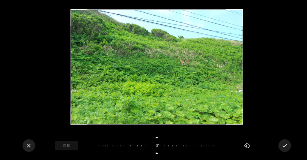 f:id:yonesuke7:20160201160216p:plain f:id:yonesuke7:20160201160216p:plain