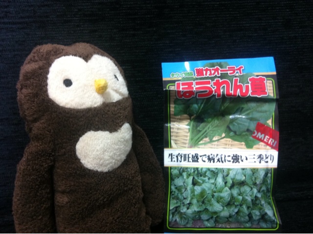 f:id:yoooen:20140721130714j:plain f:id:yoooen:20140721130714j:plain