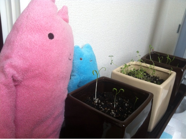 f:id:yoooen:20140721130805j:plain f:id:yoooen:20140721130805j:plain