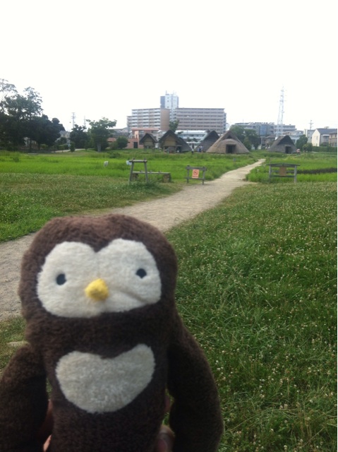 f:id:yoooen:20140727230505j:plain f:id:yoooen:20140727230505j:plain