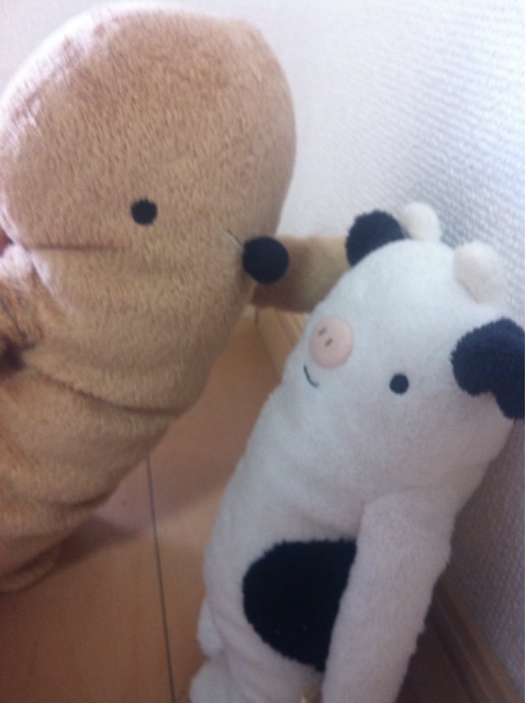 f:id:yoooen:20140803001332j:plain f:id:yoooen:20140803001332j:plain