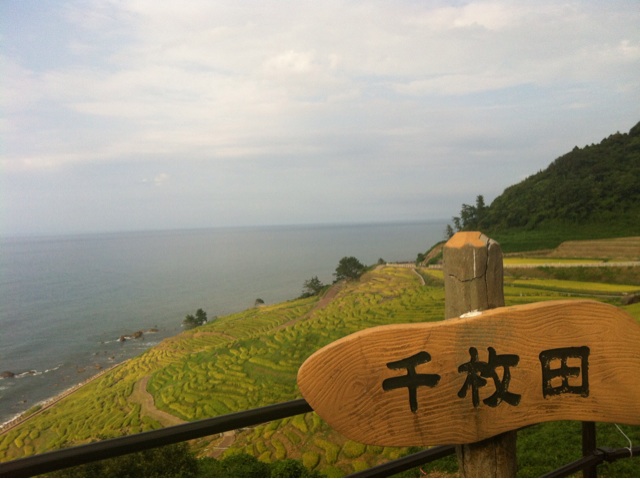 f:id:yoooen:20140809184612j:plain f:id:yoooen:20140809184612j:plain