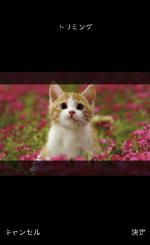 f:id:yoppy0066:20150819002021j:image:left f:id:yoppy0066:20150819002021j:image:left