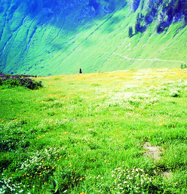 f:id:yorosz:20120102100830j:plain f:id:yorosz:20120102100830j:plain