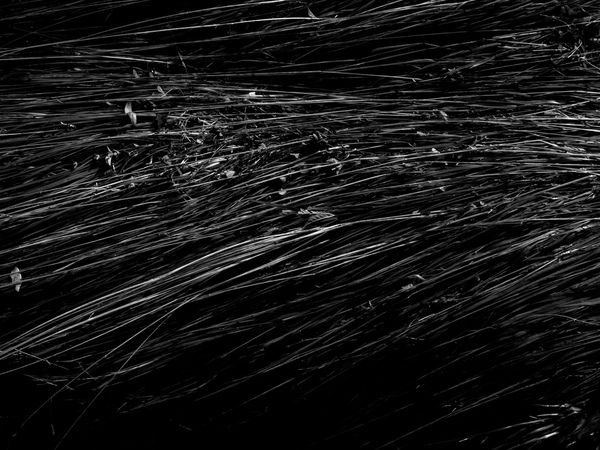 f:id:yorosz:20151223081034j:plain