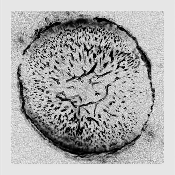 f:id:yorosz:20160311200143j:plain f:id:yorosz:20160311200143j:plain