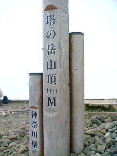 f:id:yoshi41101:20080615161456j:image f:id:yoshi41101:20080615161456j:image