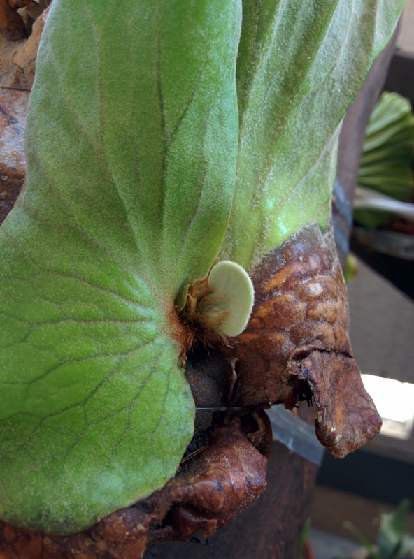 f:id:yoshida_lab:20150720154648j:plain f:id:yoshida_lab:20150720154648j:plain
