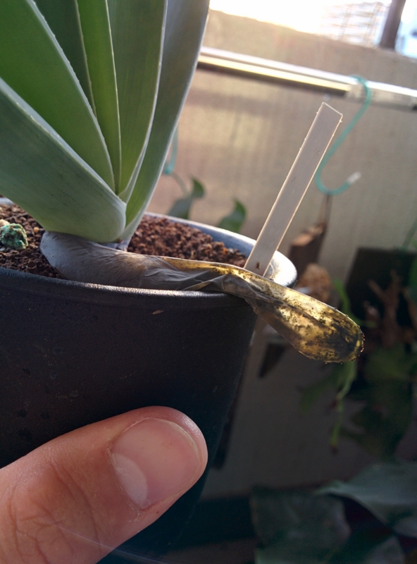 f:id:yoshida_lab:20150725000536j:plain f:id:yoshida_lab:20150725000536j:plain