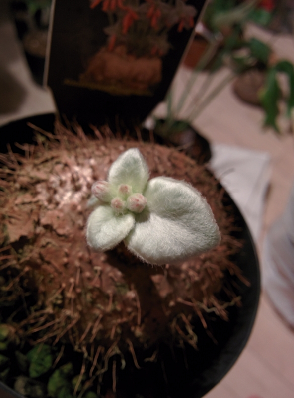 f:id:yoshida_lab:20151024215955j:plain f:id:yoshida_lab:20151024215955j:plain