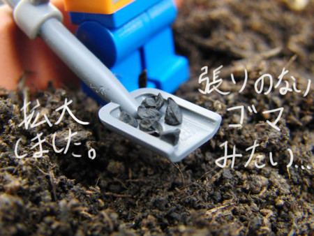 f:id:yoshidaagri:20090502164702j:image