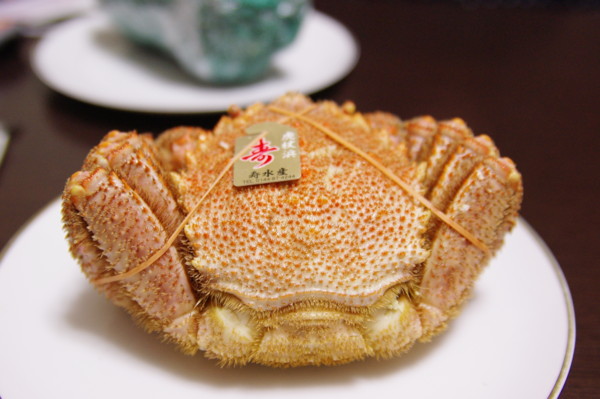 f:id:yoshidaagri:20100225202210j:image f:id:yoshidaagri:20100225202210j:image