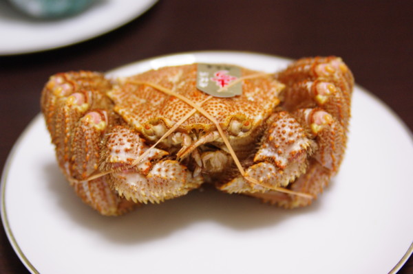 f:id:yoshidaagri:20100225202255j:image f:id:yoshidaagri:20100225202255j:image