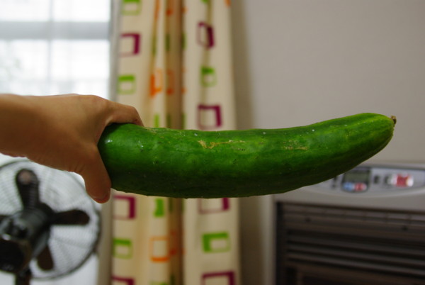 f:id:yoshidaagri:20100701070219j:image f:id:yoshidaagri:20100701070219j:image