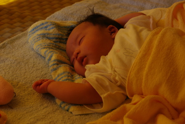 f:id:yoshidaagri:20100703205334j:image f:id:yoshidaagri:20100703205334j:image