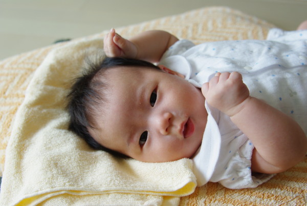 f:id:yoshidaagri:20100711111356j:image f:id:yoshidaagri:20100711111356j:image