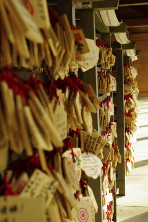 f:id:yoshidaagri:20130420152443j:image