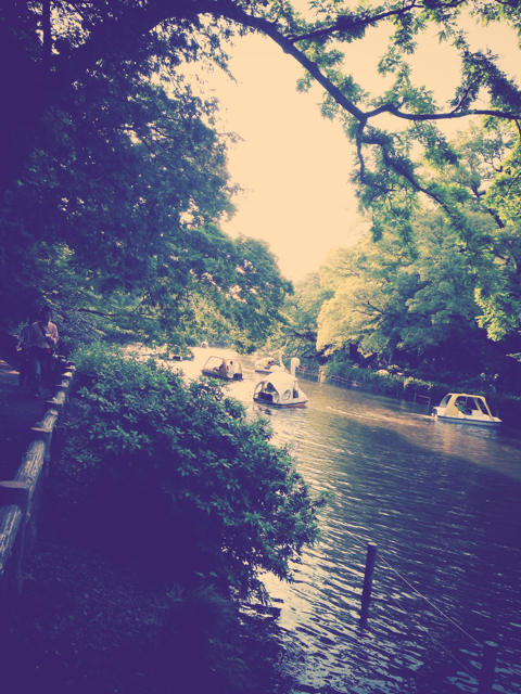 f:id:yoshiki810:20130513162447j:plain f:id:yoshiki810:20130513162447j:plain
