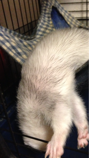 f:id:yoshiki810:20130604075129j:plain f:id:yoshiki810:20130604075129j:plain
